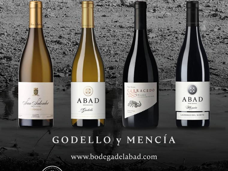 Bodega del Abad, Carracedelo El Bierzo, Spain