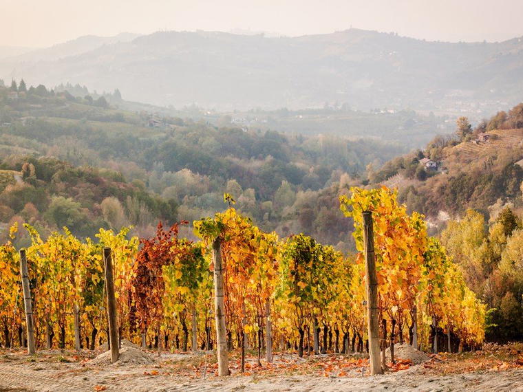 Cascina Cerutti, Cassinasco, Italy