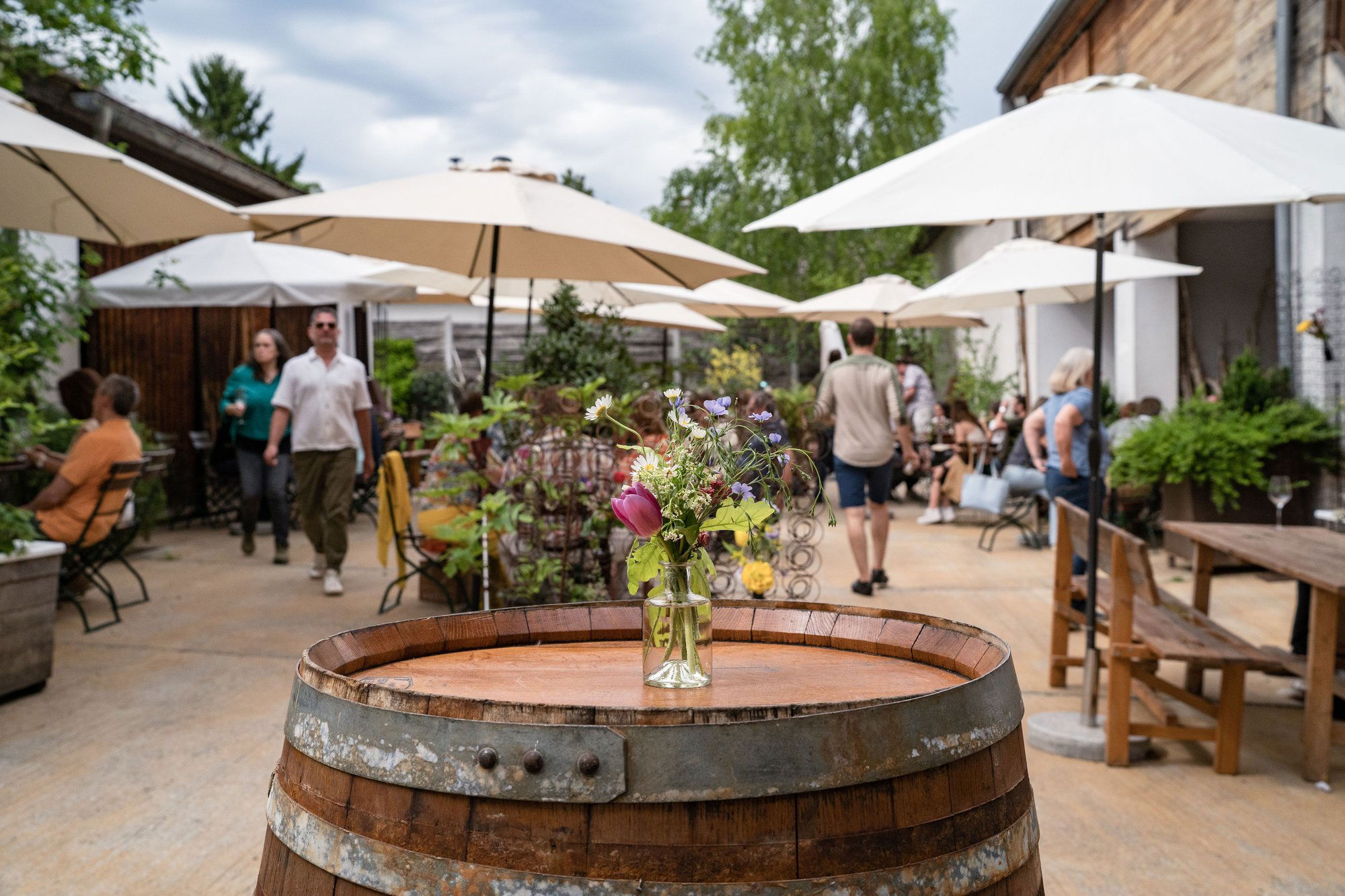 Bioweingut Arkadenhof Hausdorf, Winery in Gro Riedenthal