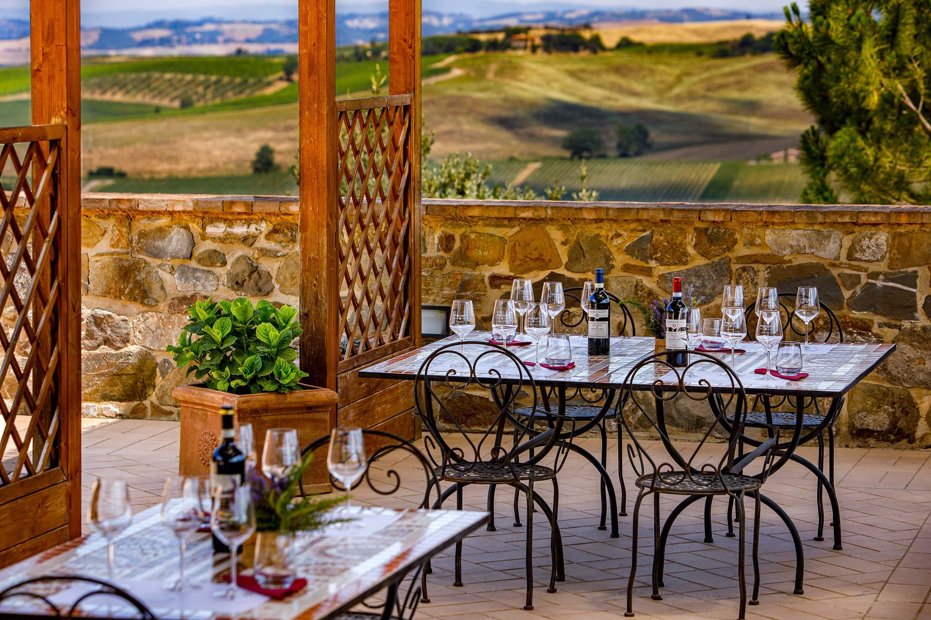 Franco Pacenti, Winery in Montalcino