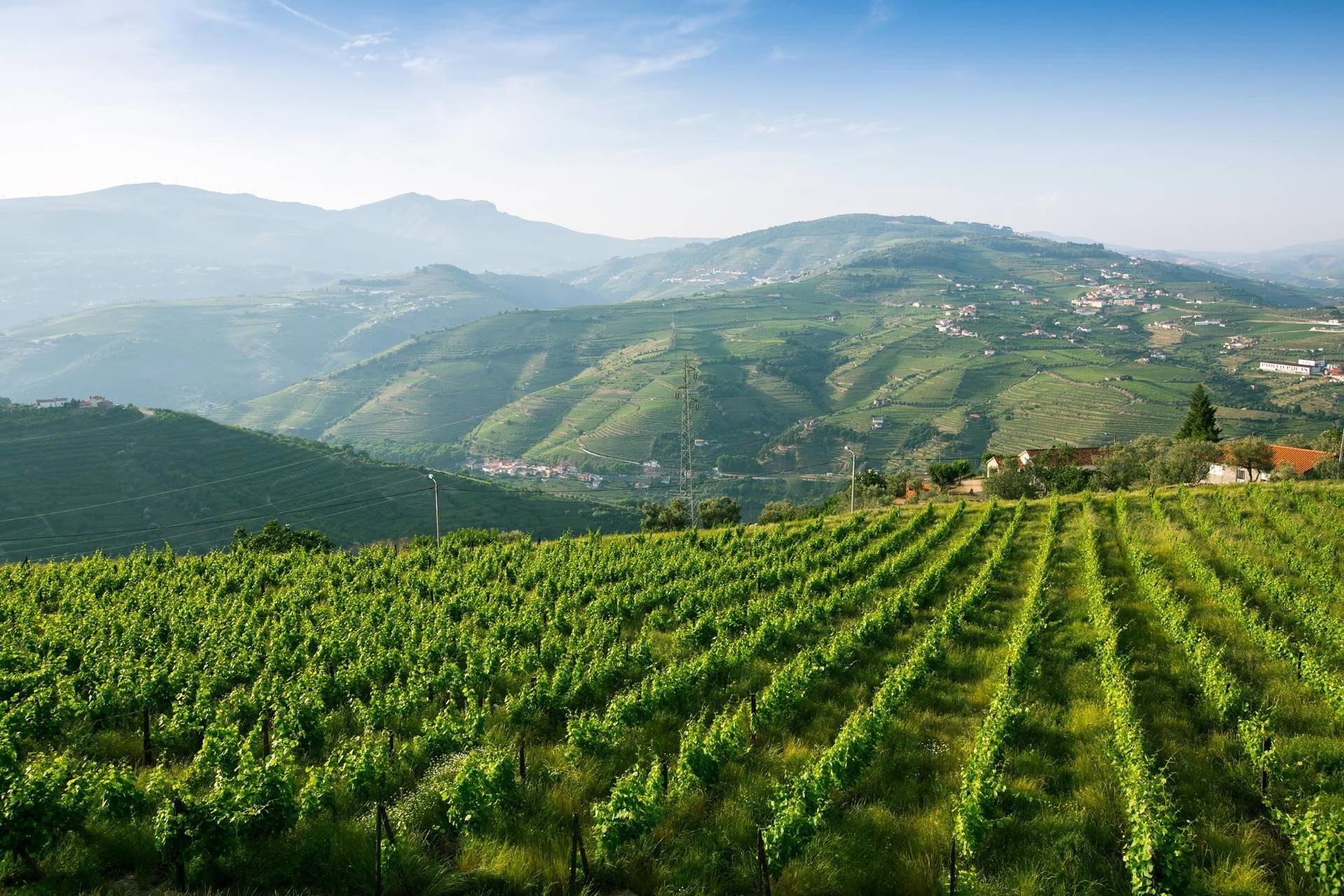 Adega de Monçao winery in Monção