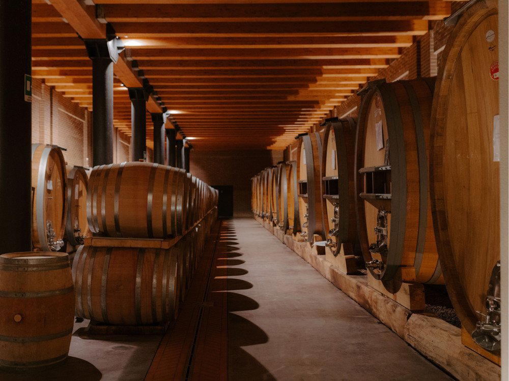Poderi Luigi Einaudi winery in Dogliani