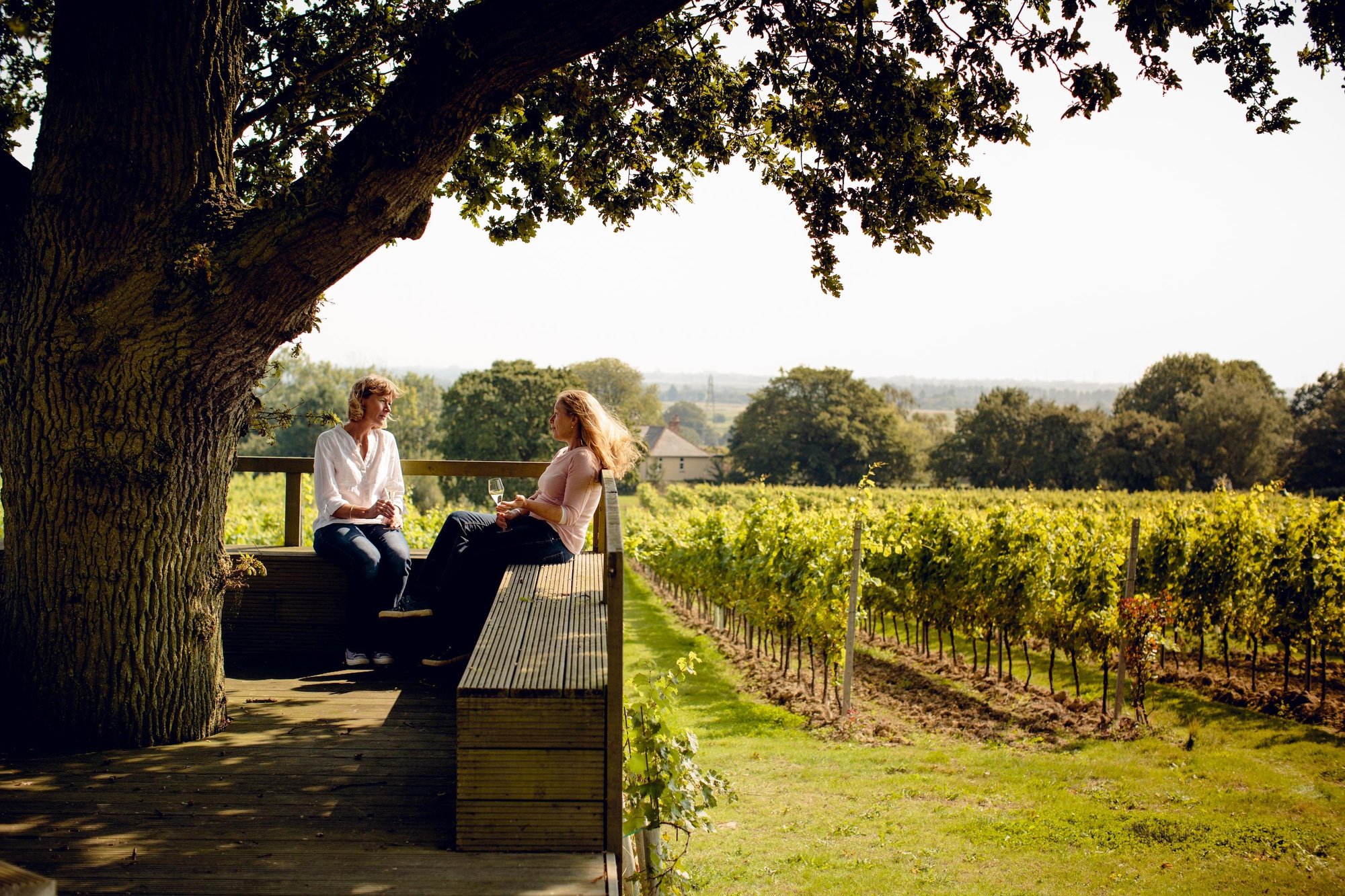 Gusbourne winery in Ashford
