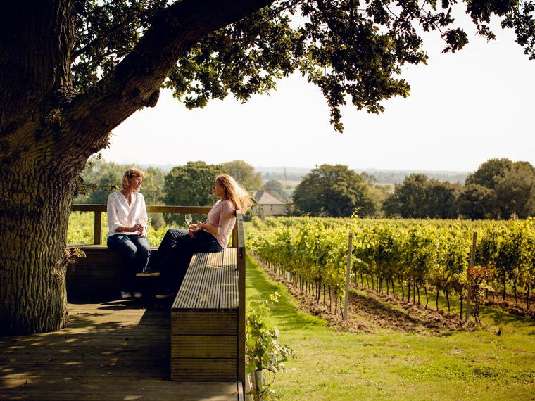 Gusbourne, Ashford, United Kingdom