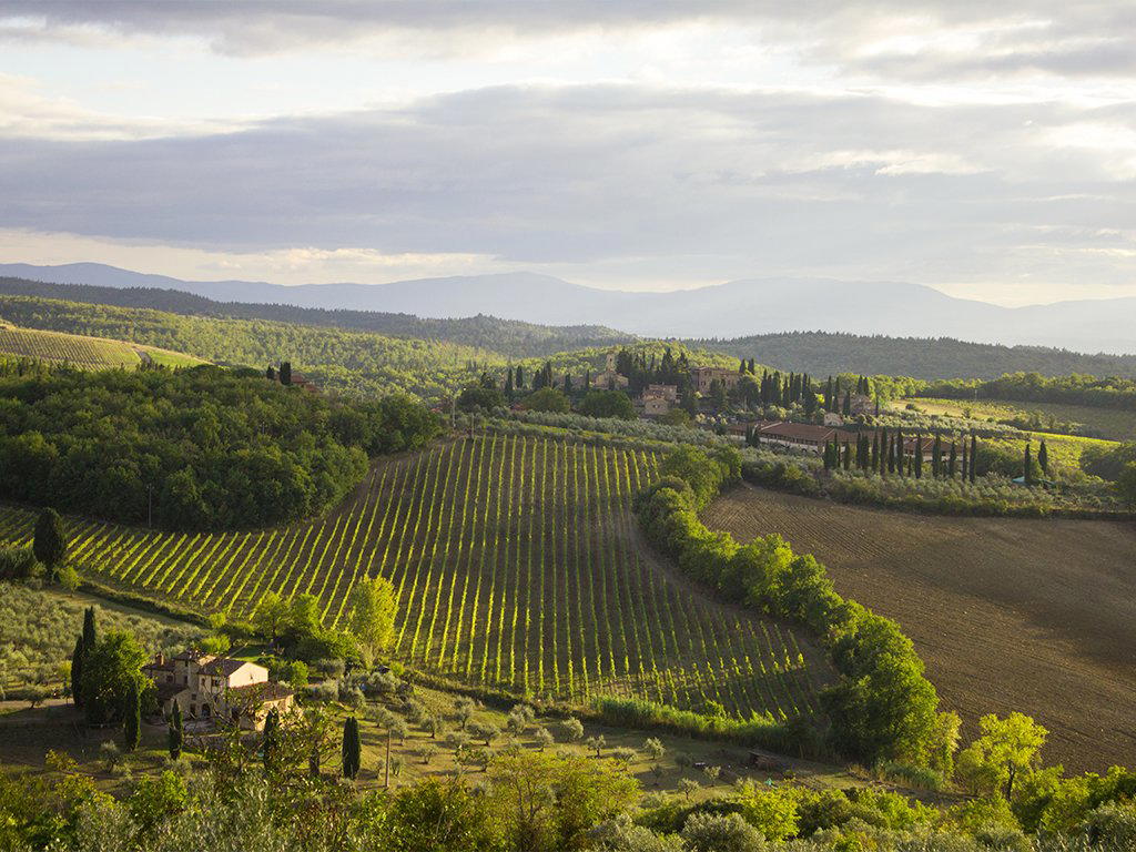 Nicola Bergaglio winery in Gavi