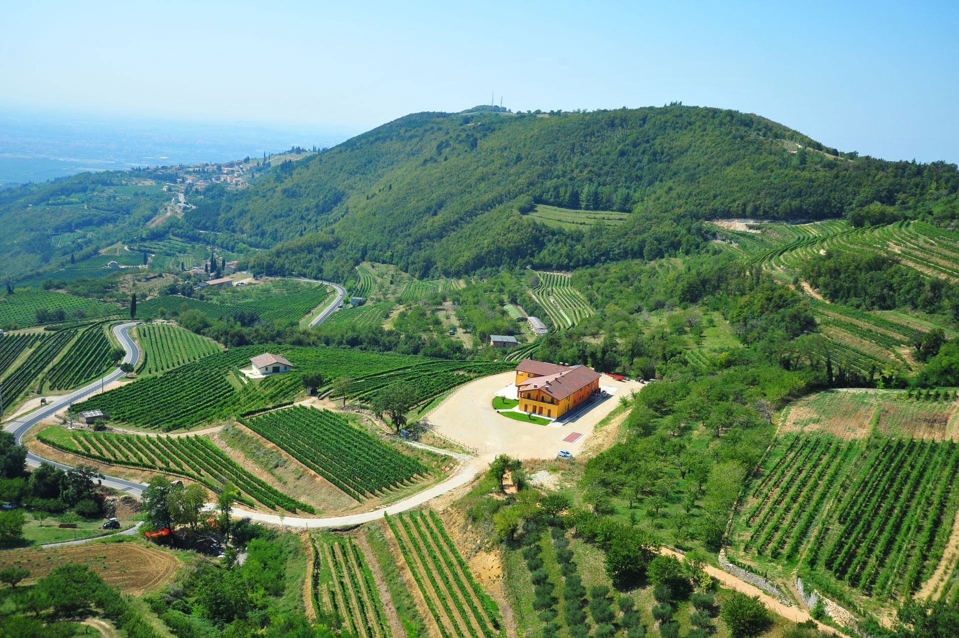 Aldrighetti, Winery in Valgatara Marano Di Valpolicella