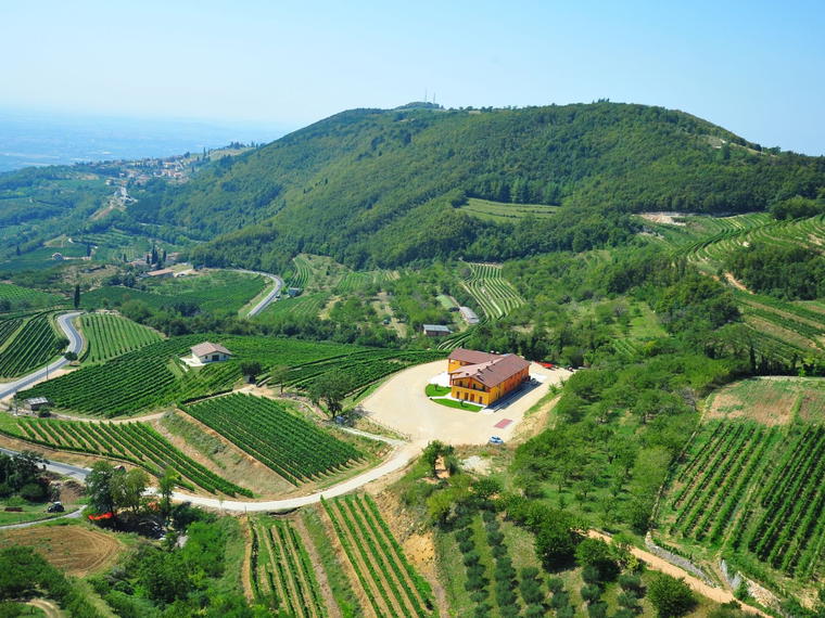 Aldrighetti, Valgatara Marano Di Valpolicella, Italy