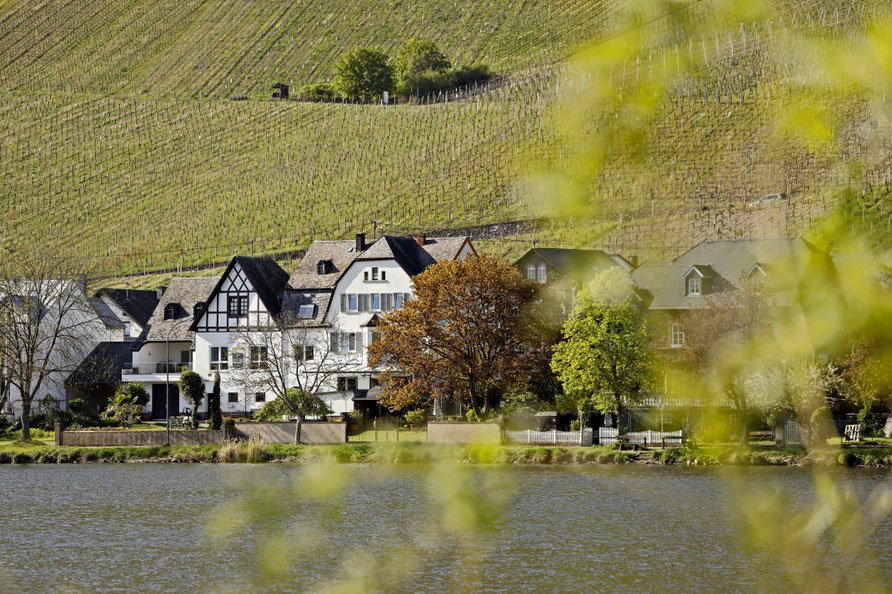 Weingut Reuscher-Haart winery in Piesport
