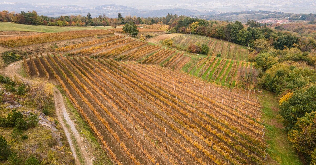 Štokelj