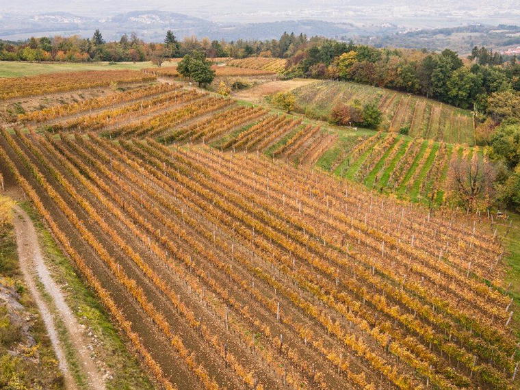 Štokelj, Planina, Slovenia