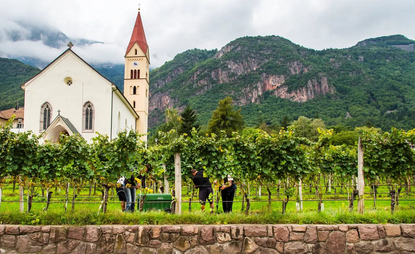 Cantina Andriano, Terlan, Italy