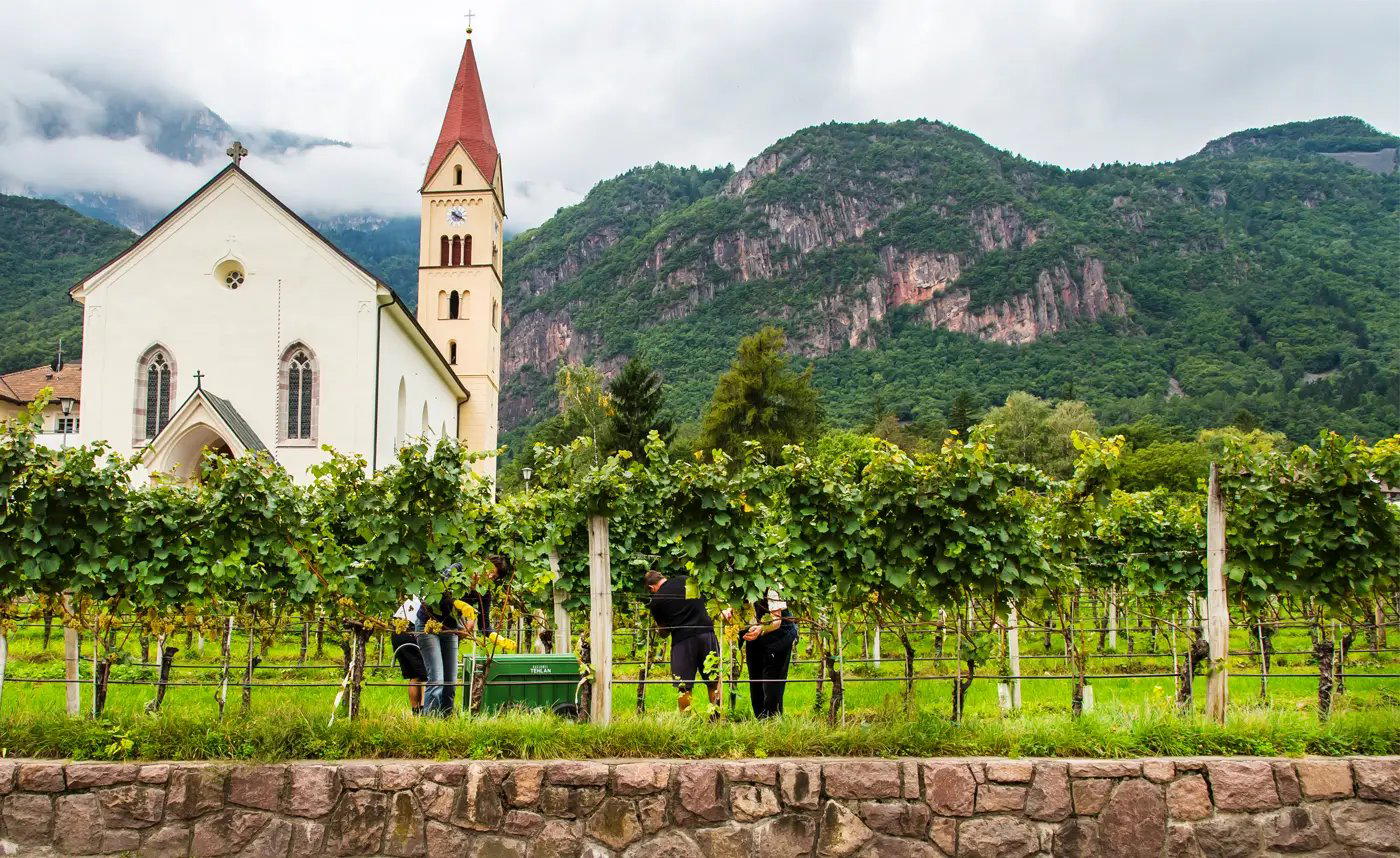 Cantina Andriano winery in Terlan, Italy