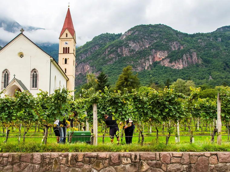 Cantina Andriano, Terlan, Italy