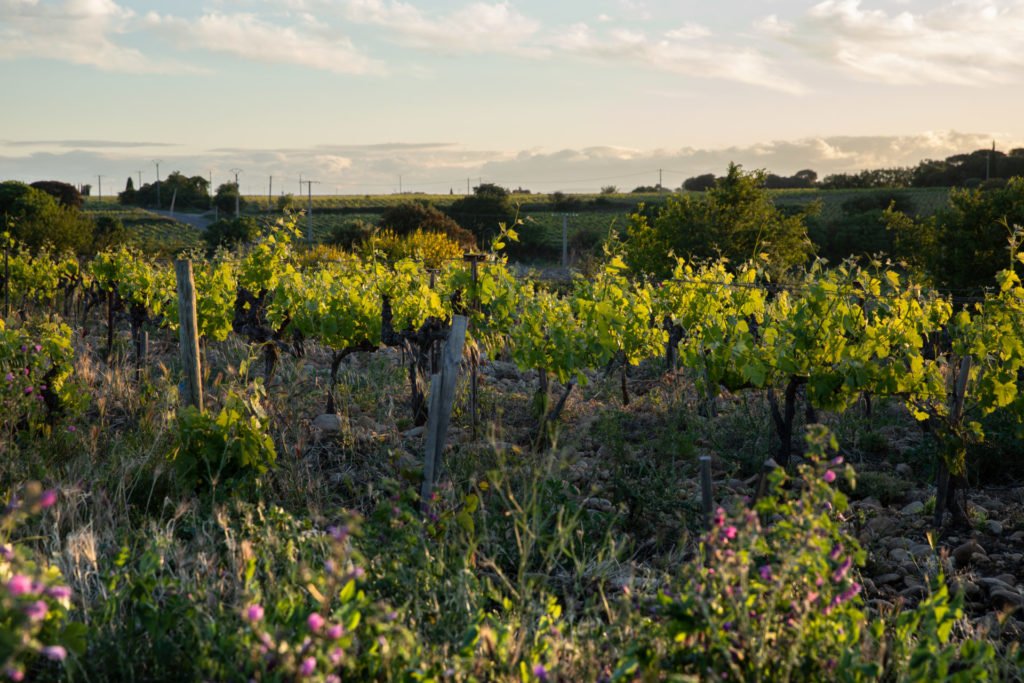 Domaine L'or de Line, Winery in Châteauneuf-du-Pape