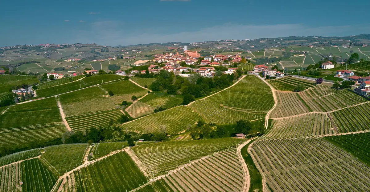 Boroli, Winery in Castiglione Falletto