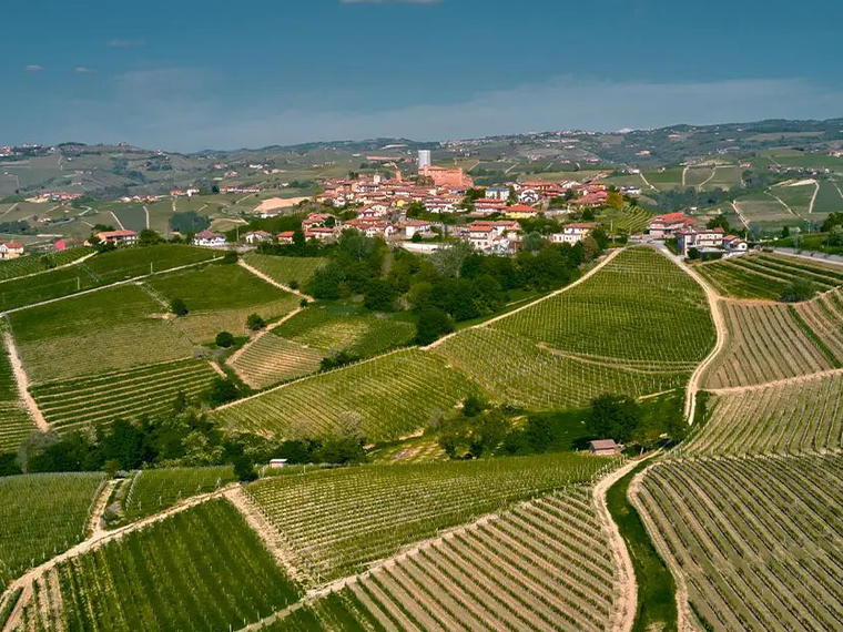 Boroli, Castiglione Falletto, Italy