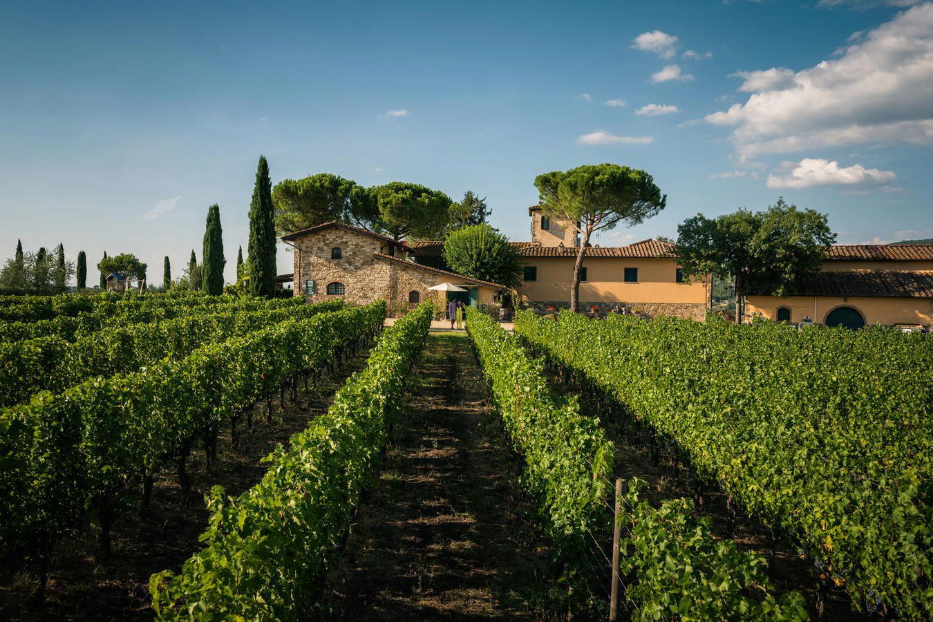 Azienda Agricola Poggio agli Scalzi winery in Castellina Marittima, Italy