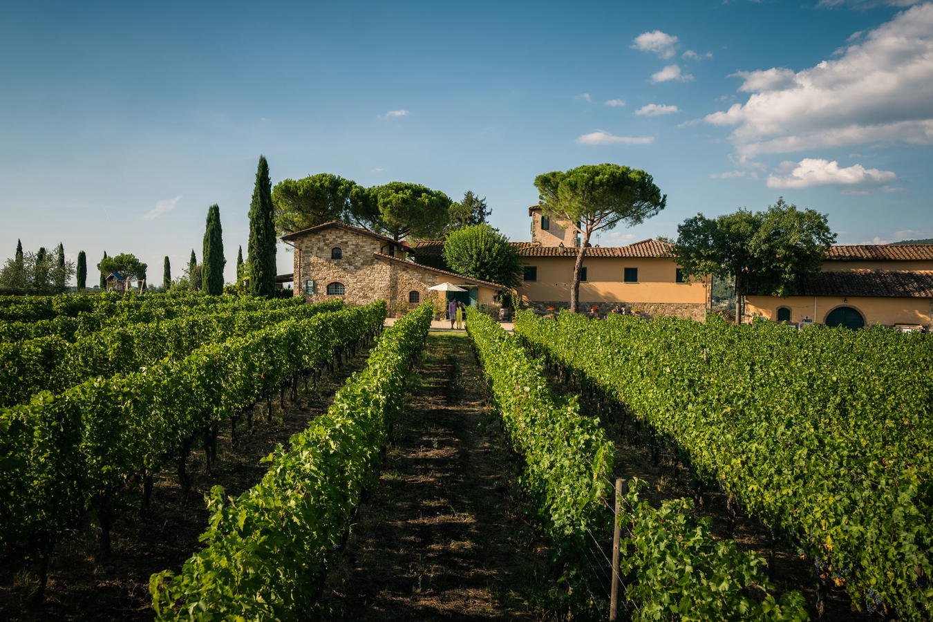 Azienda Agricola Poggio agli Scalzi, Winery in Castellina Marittima