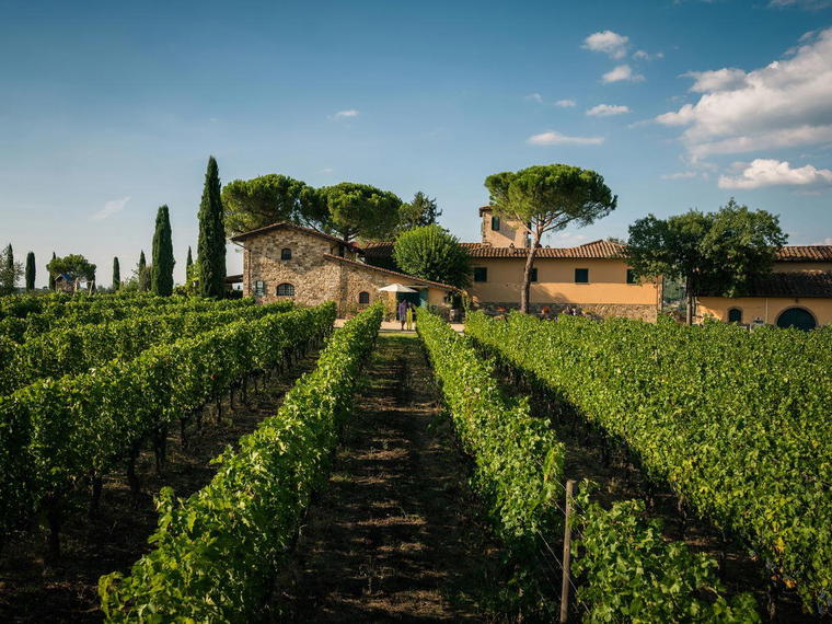 Azienda Agricola Poggio agli Scalzi, Castellina Marittima, Italy