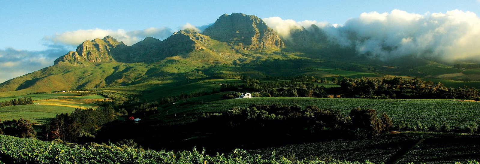 Bruce Jack and Drift Estate, Cape Town, South Africa