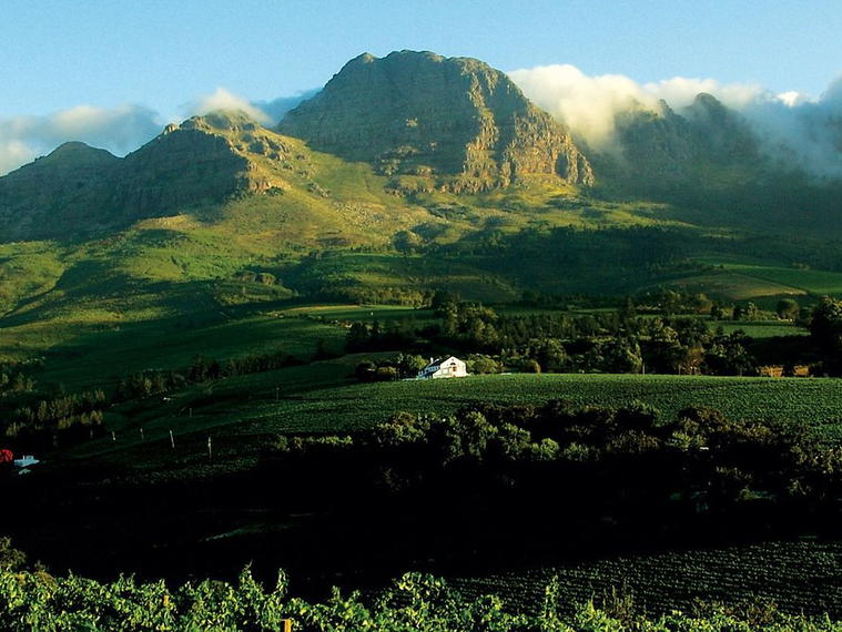 Bruce Jack and Drift Estate, Cape Town, South Africa