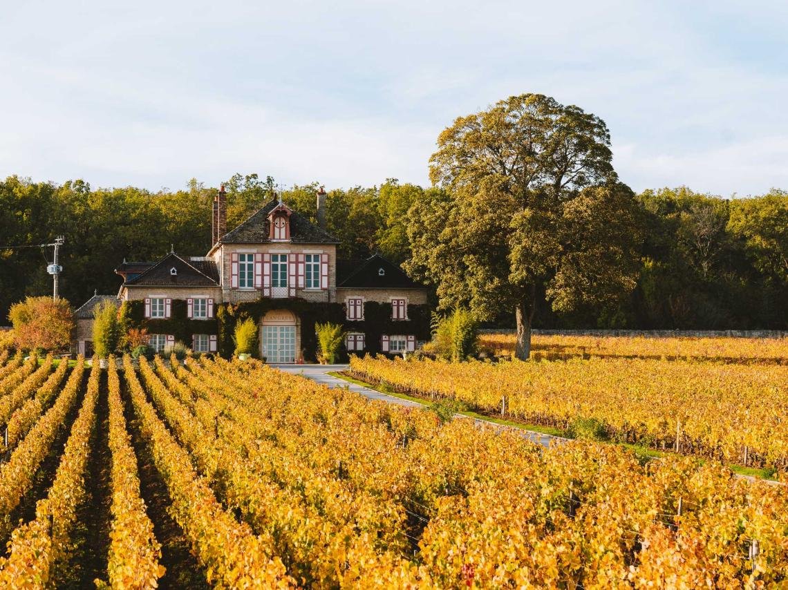 Domaine D'Ardhuy