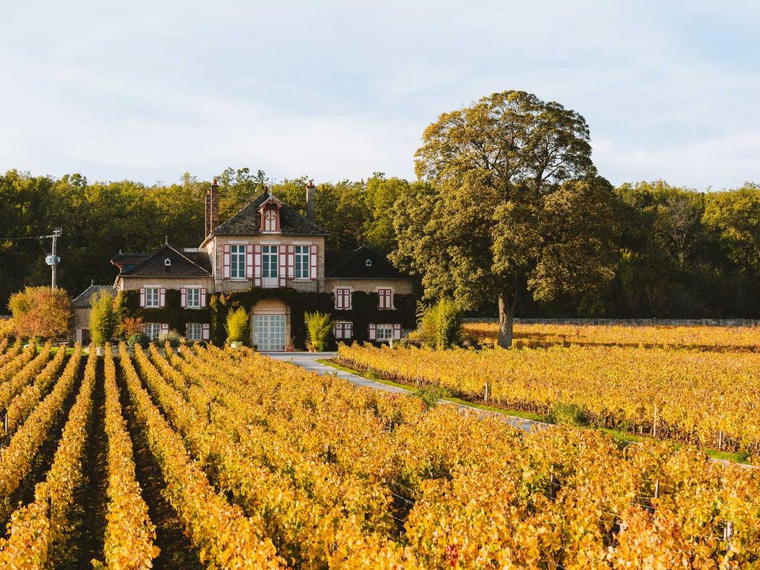 Domaine D'Ardhuy, Corgoloin, France