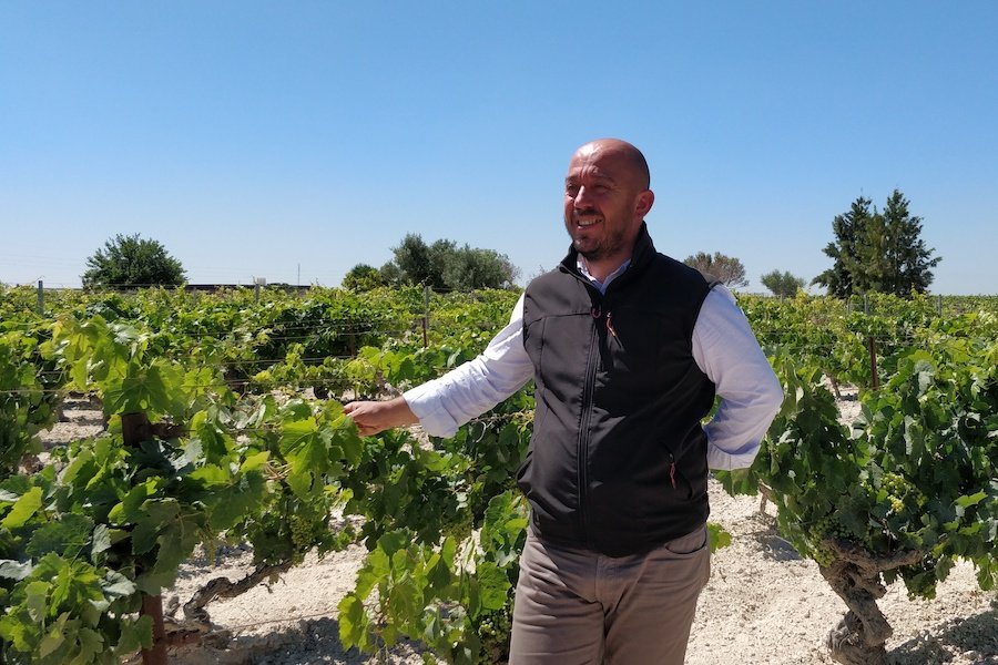 Bodegas Cota 45