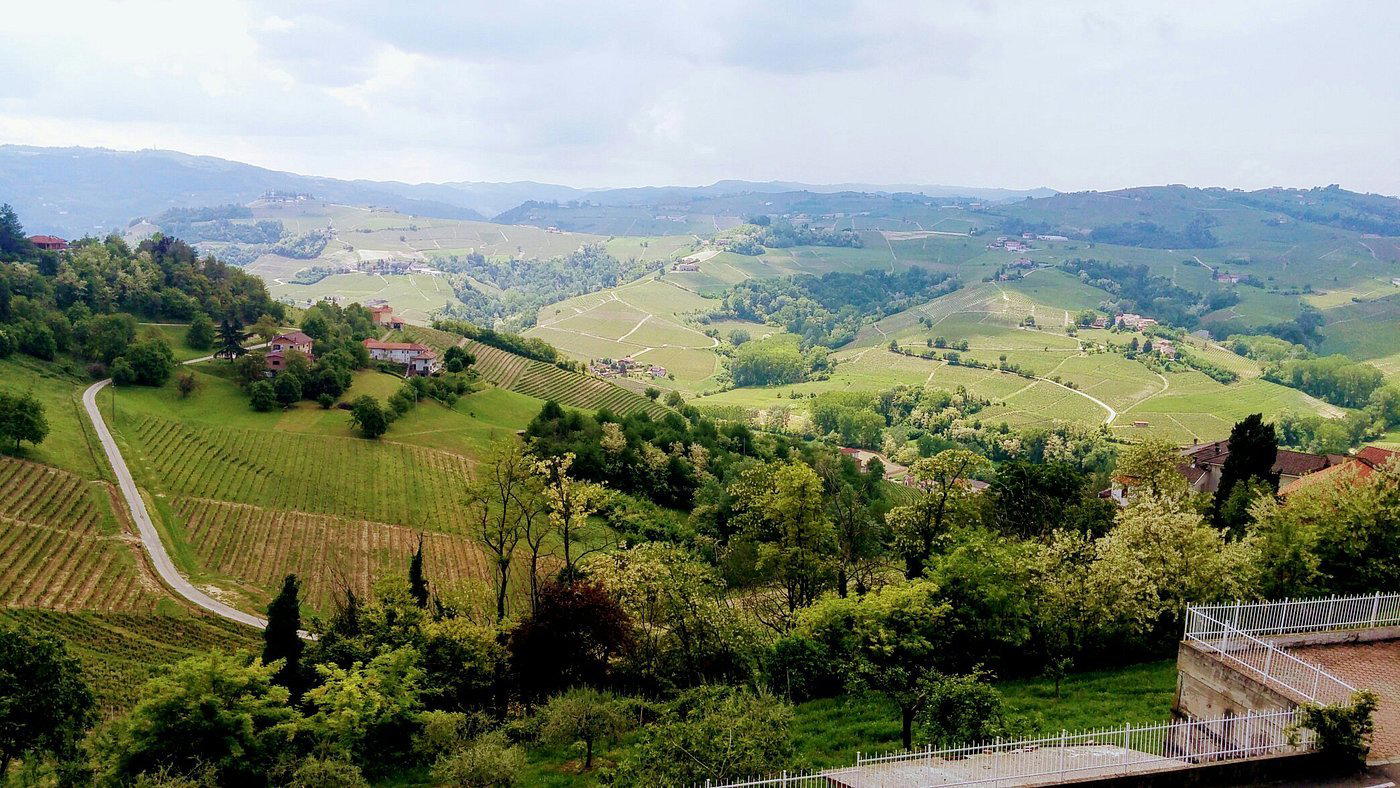 Azienda Vitivinicola Piano winery in Calosso, Italy