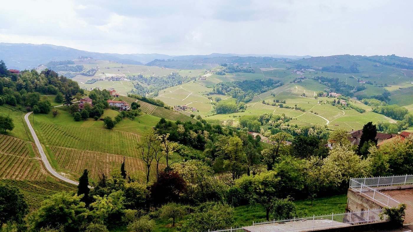 Azienda Vitivinicola Piano