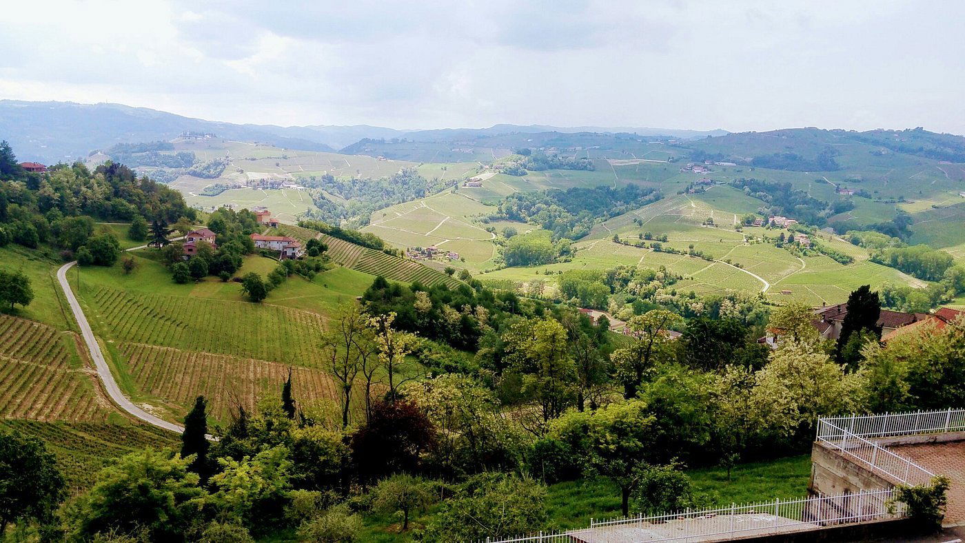 Azienda Vitivinicola Piano, Winery in Calosso