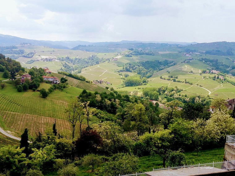 Azienda Vitivinicola Piano, Calosso, Italy