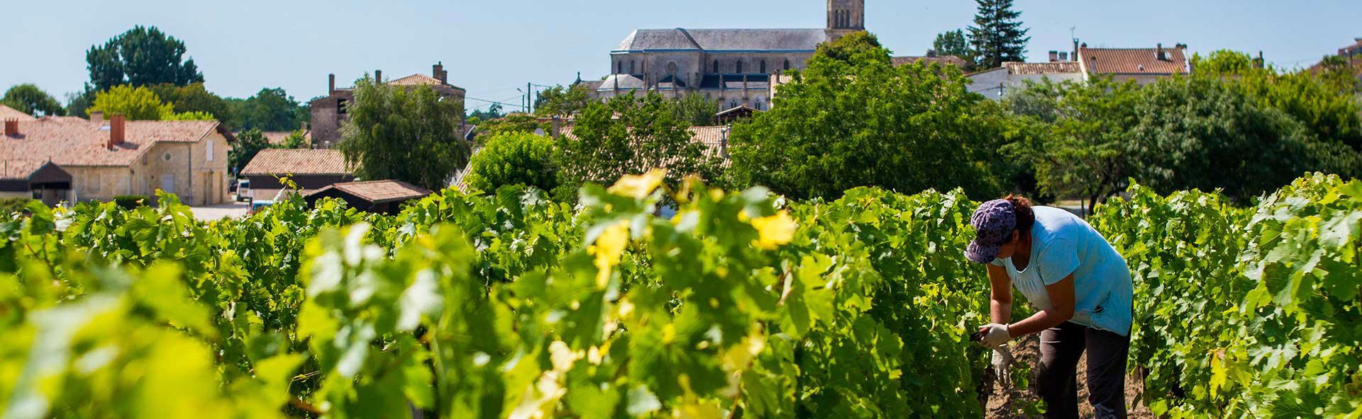 Château Clos du Marquis winery in Saint-Julien-Beychevelle, France
