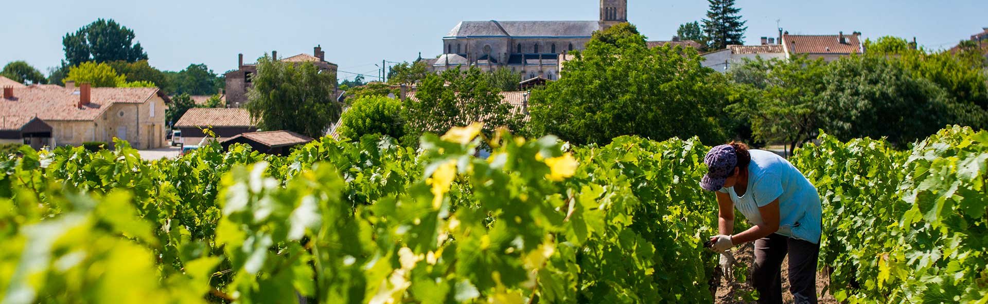 Château Clos du Marquis, Winery in Saint-Julien-Beychevelle