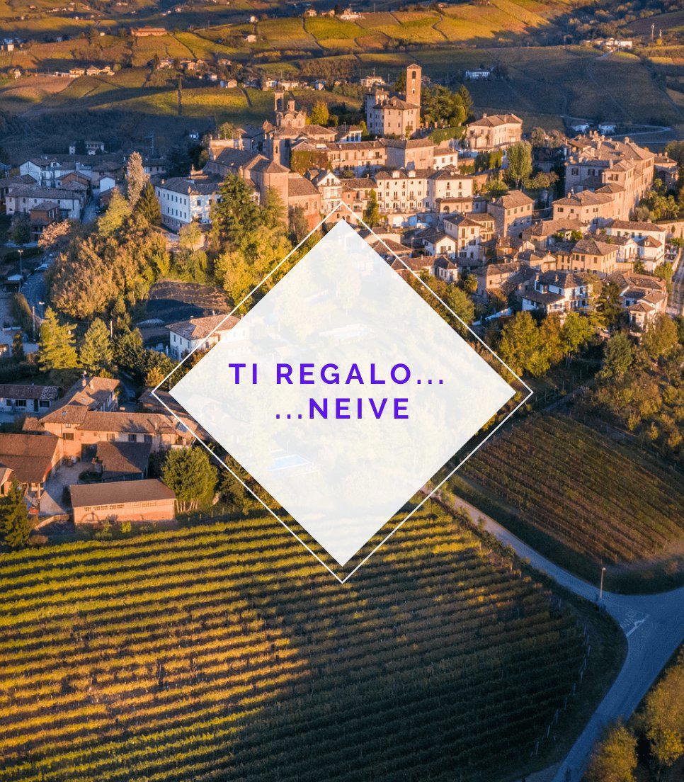 Castello di Neive winery in Neive, Italy