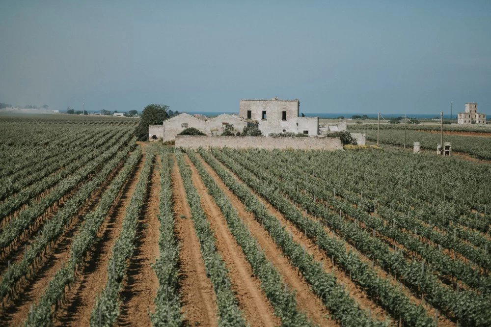 Tenute Rubino winery in Brindisi, Italy