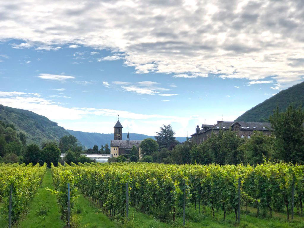 Weingut Kloster Ebernach winery in Cochem