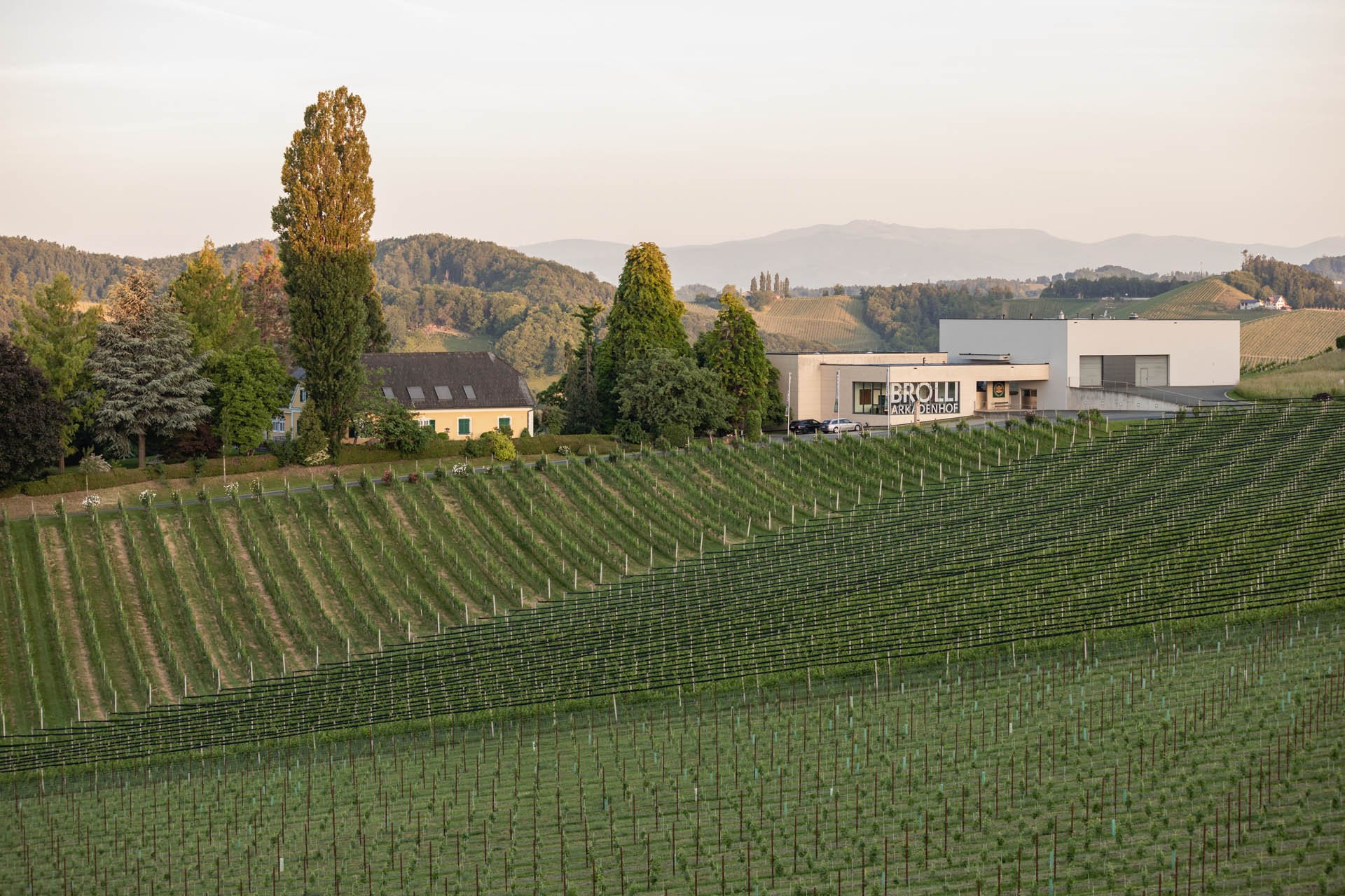 Weingut Brolli-Arkadenhof winery in Gamlitz