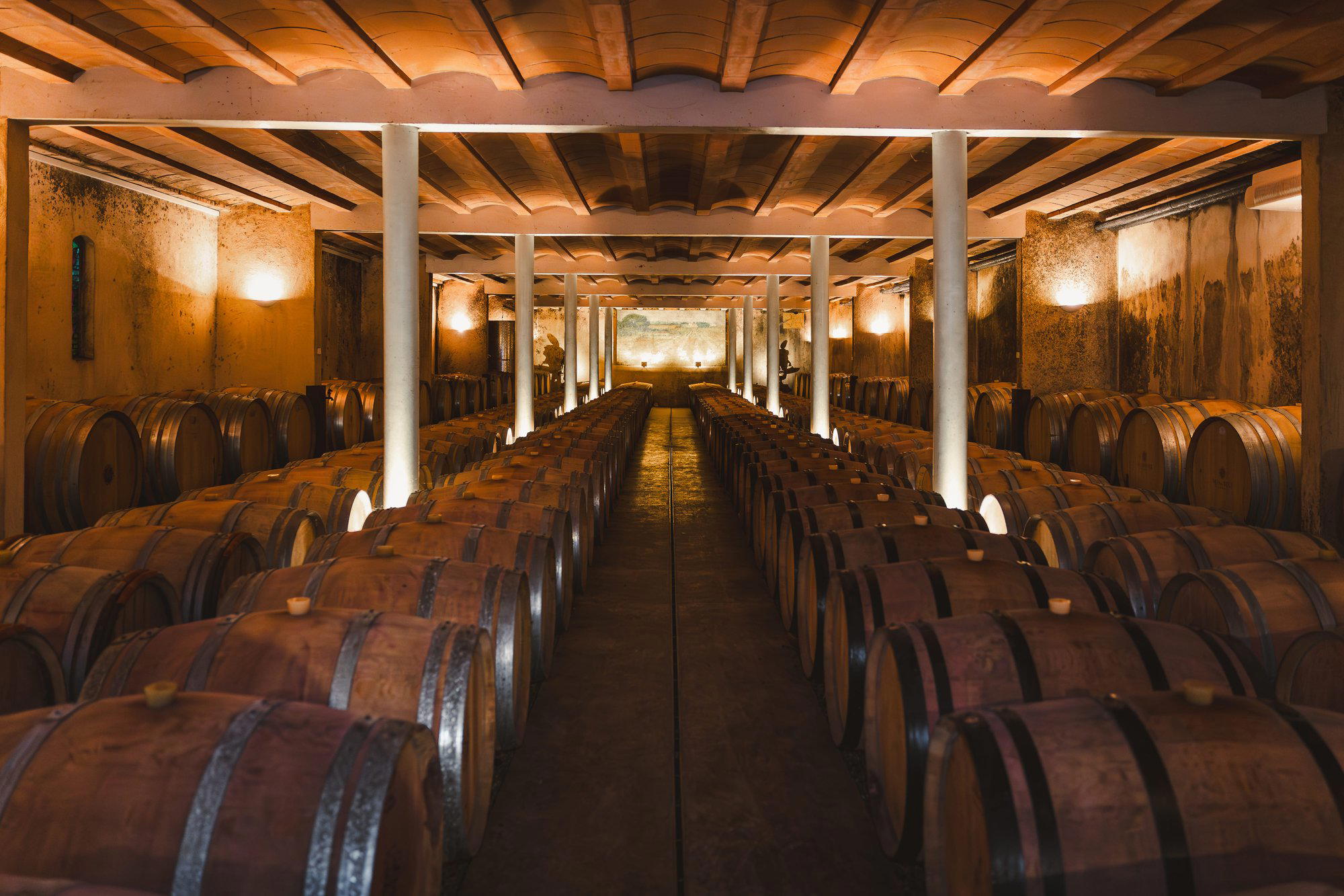 Mas du Novi winery in Montagnac, France