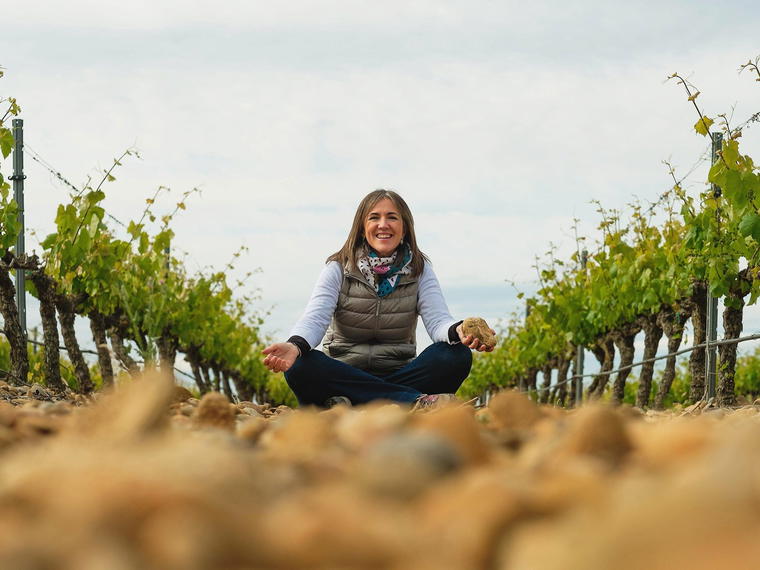 Bodegas Vega del Castillo, Olite, Spain