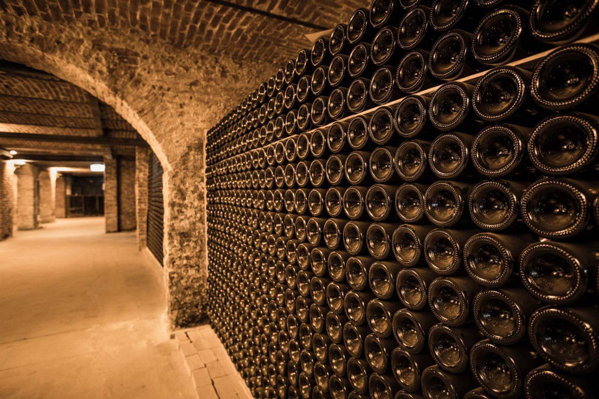 Enrico Serafino, Winery in Canale