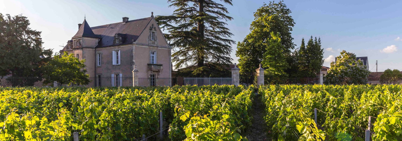 Château Clauzet, Saint-Estèphe, France