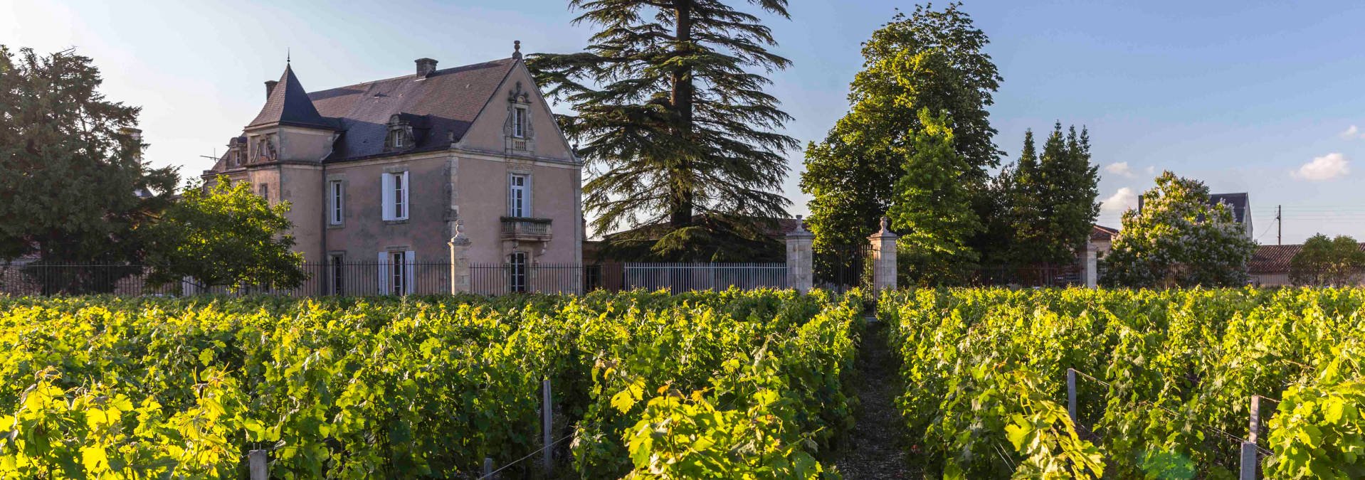 Château Clauzet, Winery in Saint-Estèphe