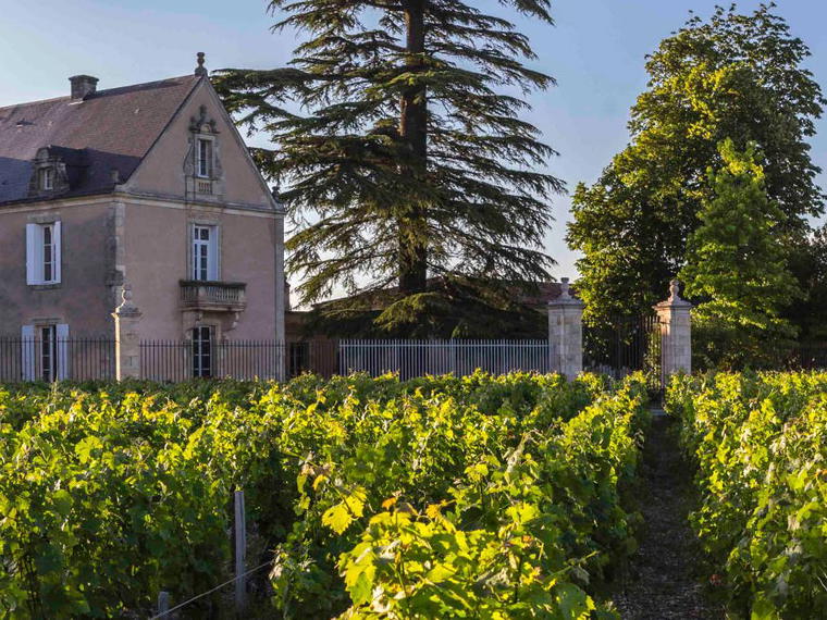 Château Clauzet, Saint-Estèphe, France