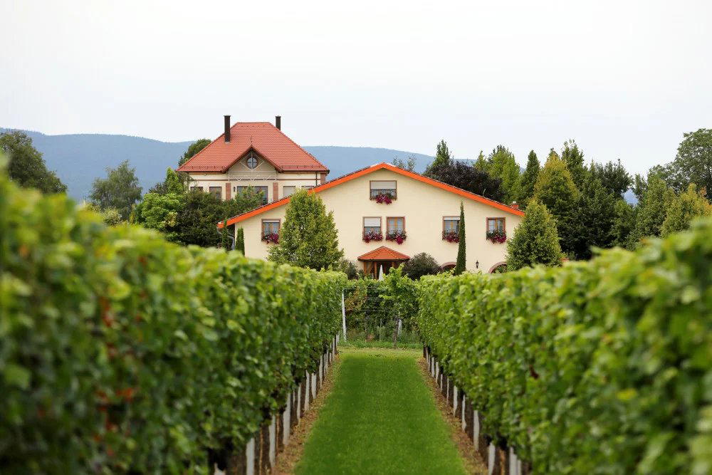 Weingut Villa Hochdörffer winery in Landau In Der Pfalz