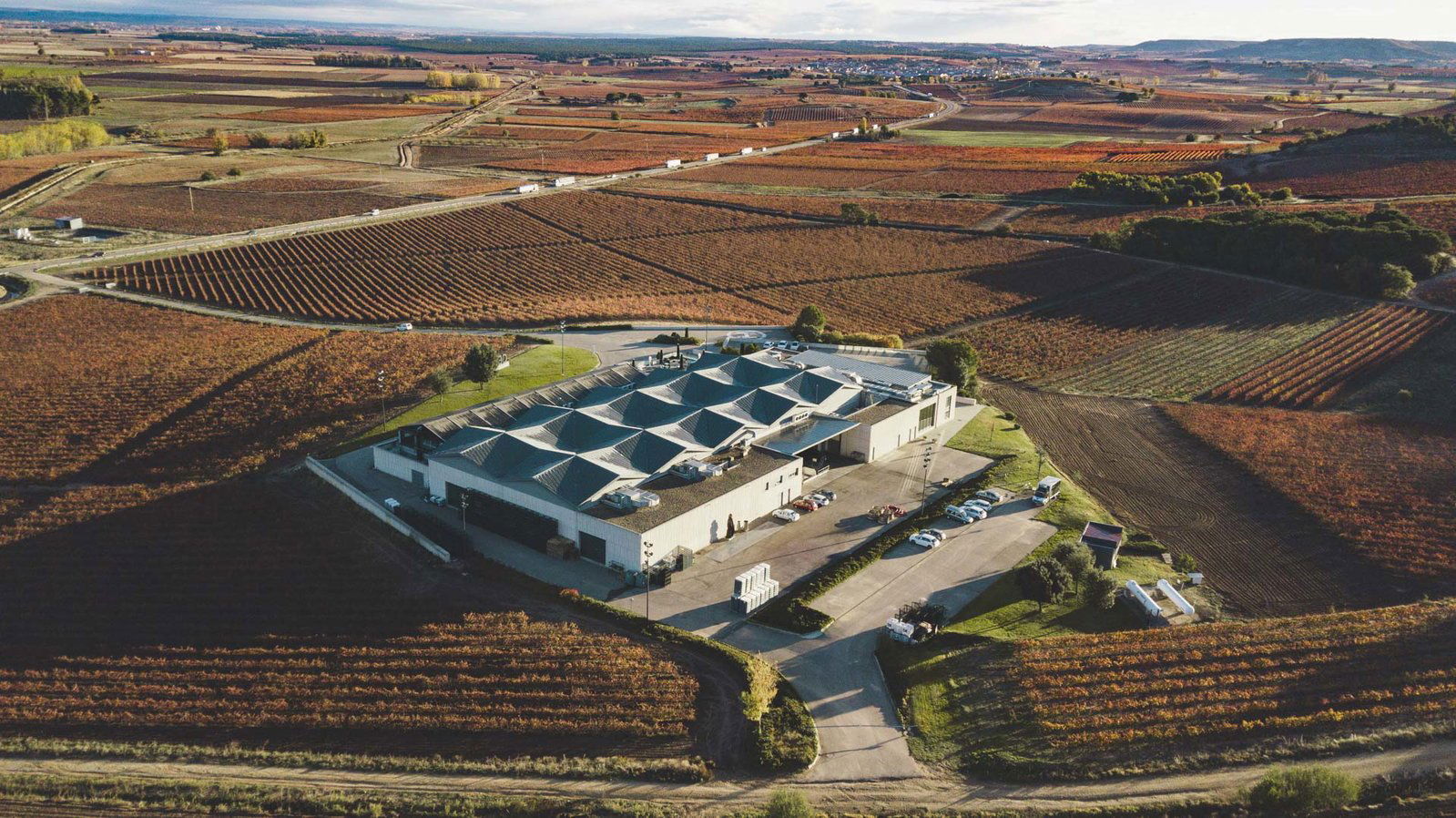 Bodegas Cepa 21, Winery in Castrillo de Duero