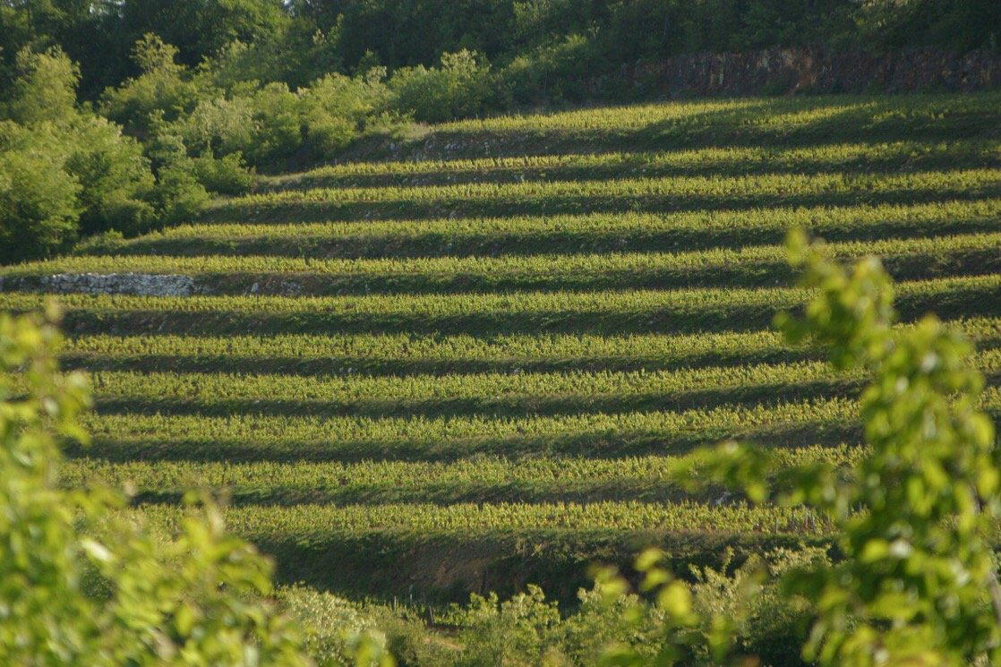 Domaine Bertrand Machard de Gramont winery in Nuits-Saint-Georges, France