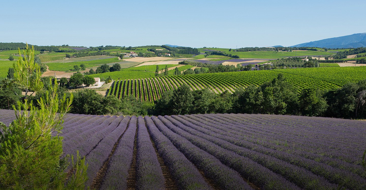Cellier des Dauphins, Tulette, France