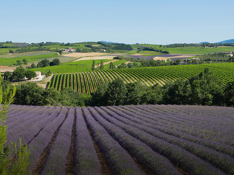 Cellier des Dauphins, Tulette, France