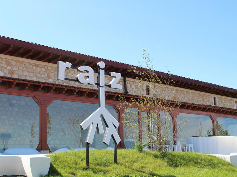 Bodegas Raíz y Quesos Páramo De Guzmán, S.L., Roa, Spain
